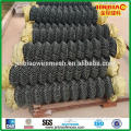 PVC coated chain link fence/ Chain wire mesh/ manufacturer